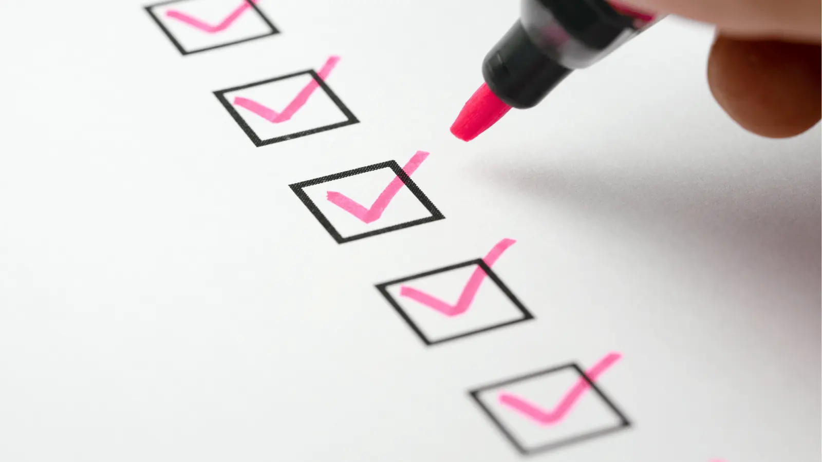 Close-up of checklist with pink checkmarks drawn in black boxes