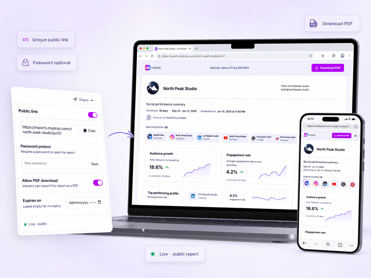 Mydrop report share link settings with password, expiry, and PDF download options